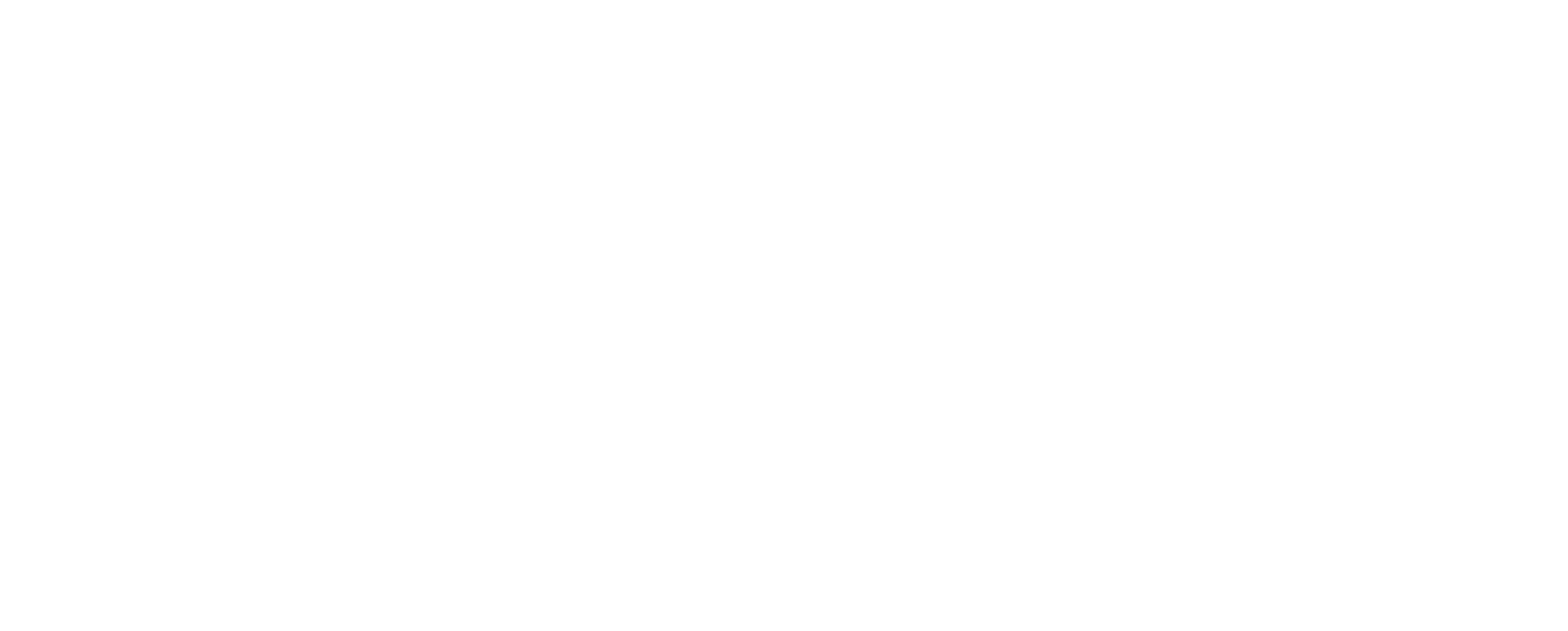 Next Step Construction logo